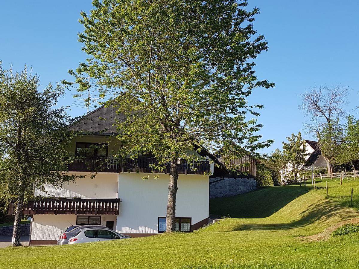 Gaestehaus Bartlehof Schluchsee Kültér fotó